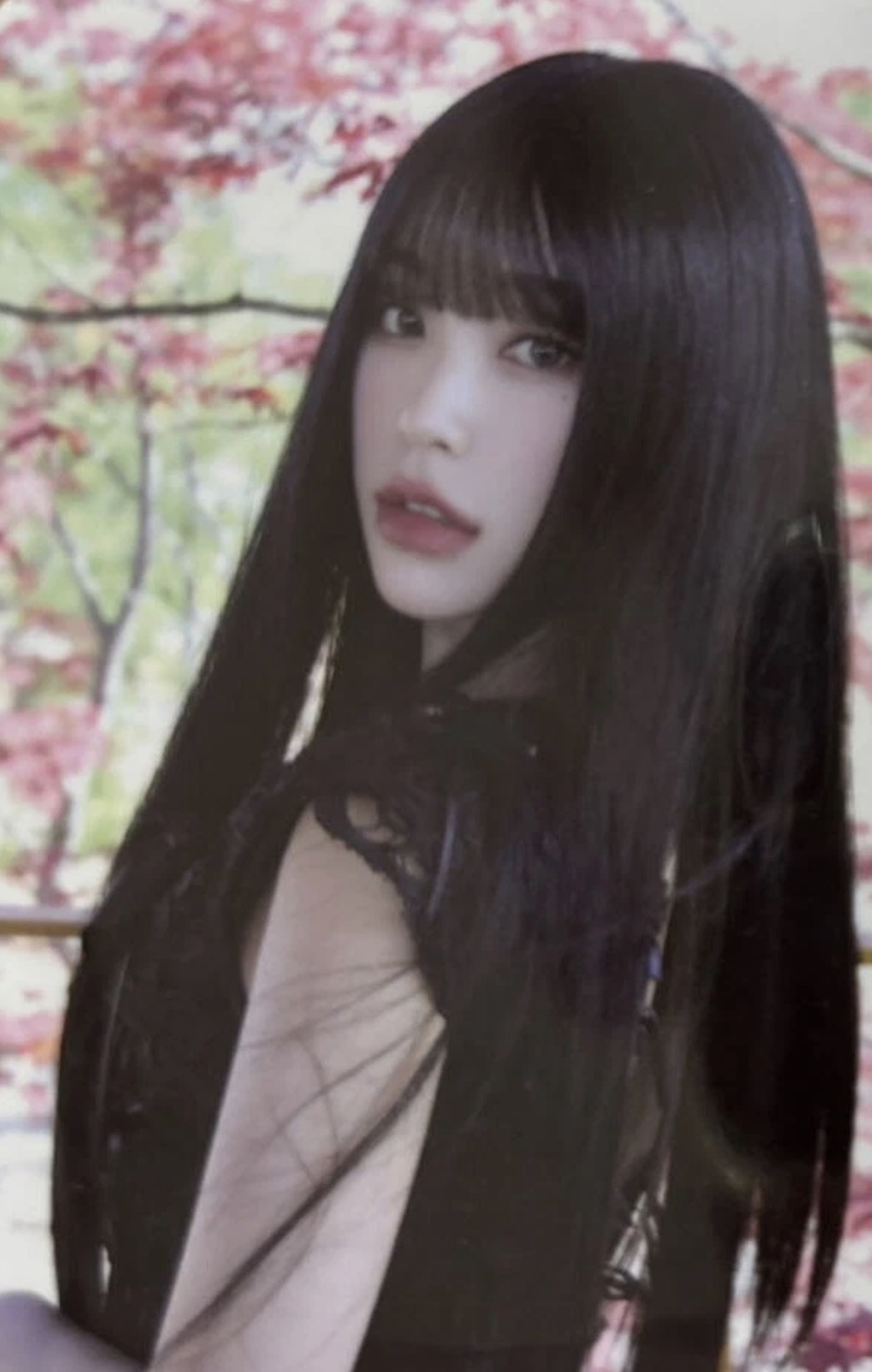Photocard