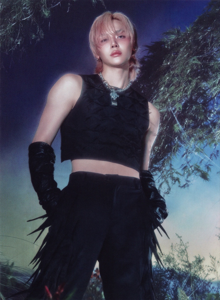 Postcard Set