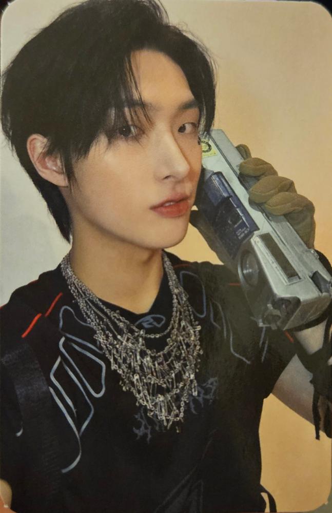 ANITEEZ in TREASURE Flat - Fer Plush