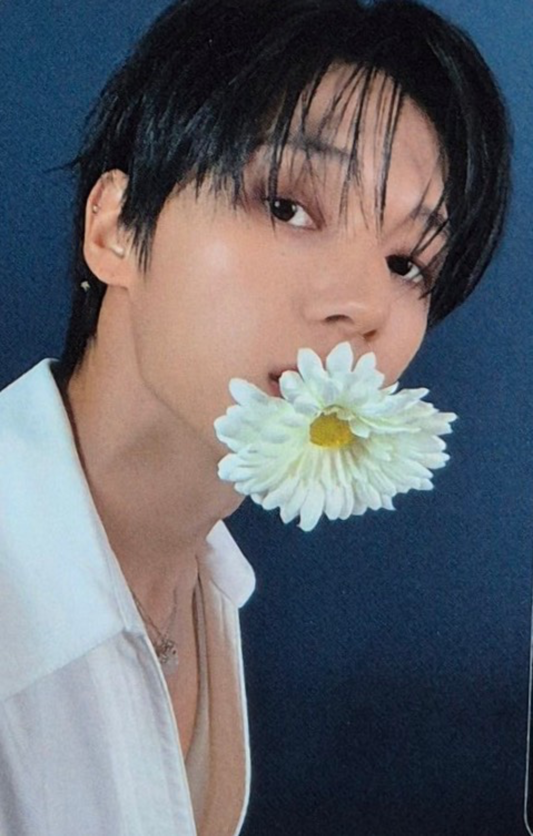 Apple Music 1.0 Photobook Ver. - Preorder