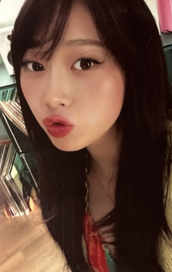 Official MD Trading Card Set B