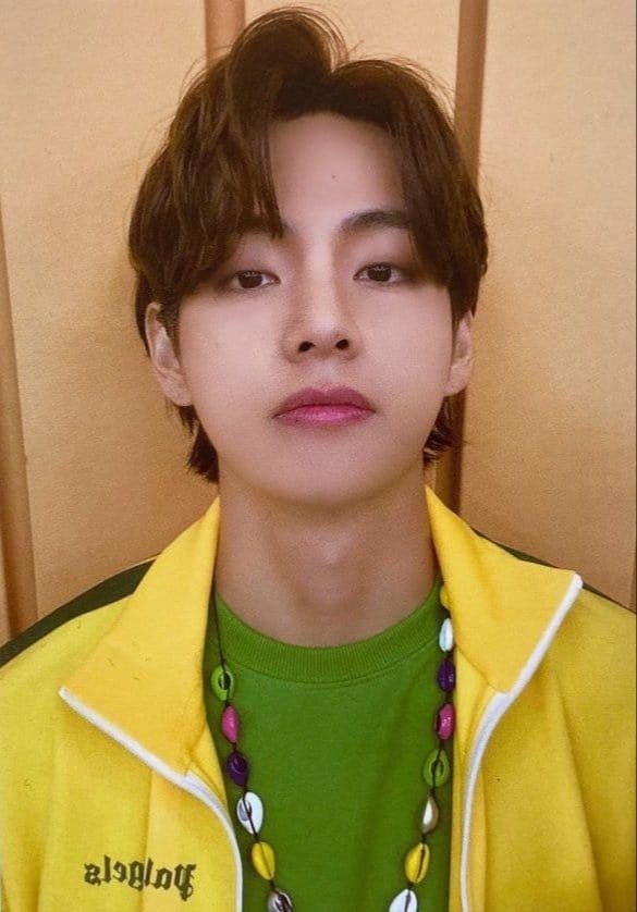Official MD Cardigan Photocard Set