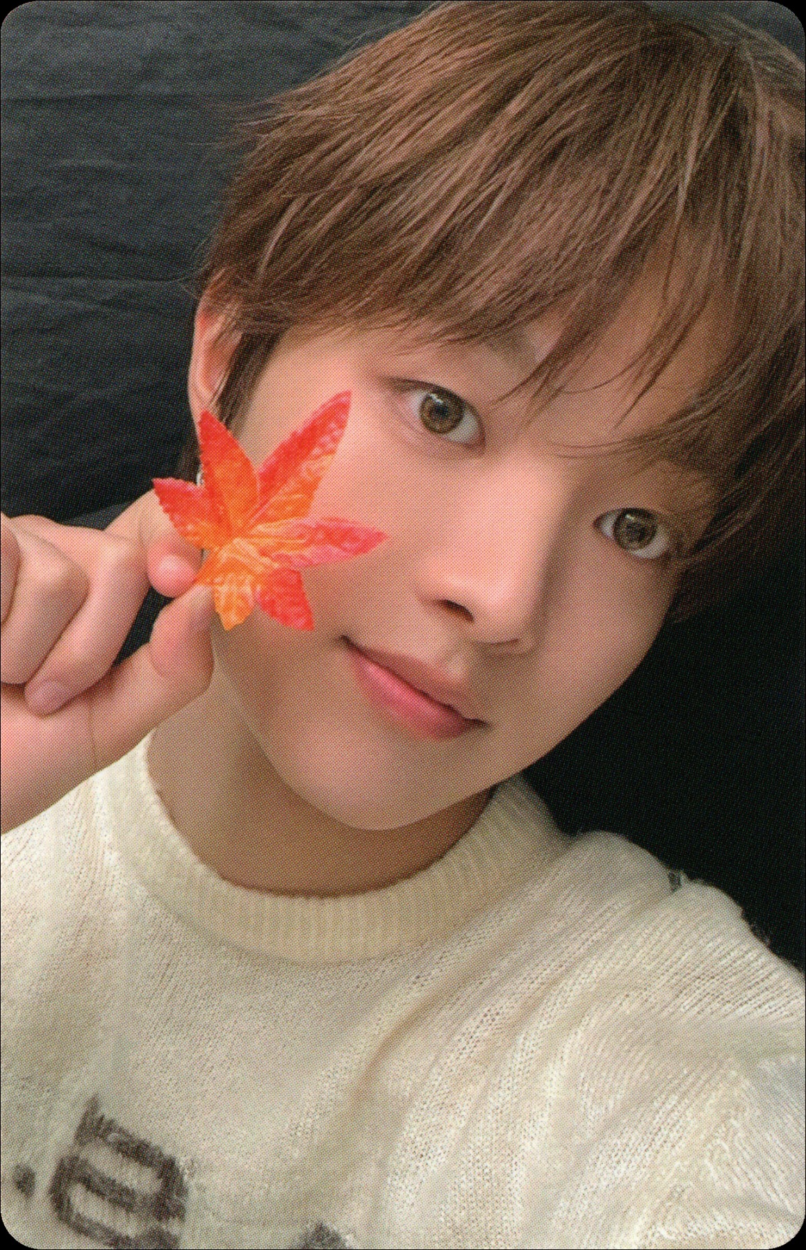 Photocard