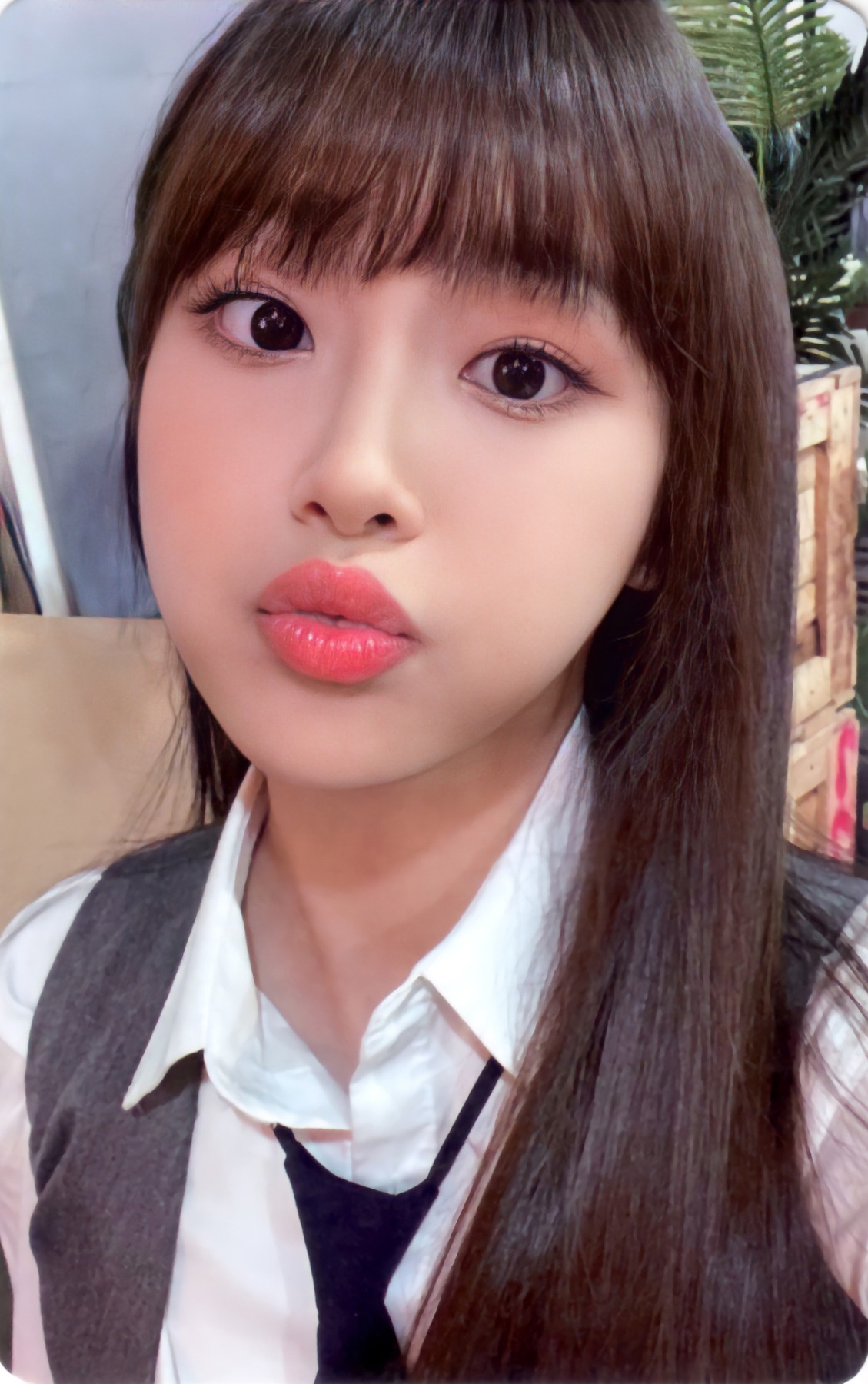 2022 Season's Greetings Photocard Set