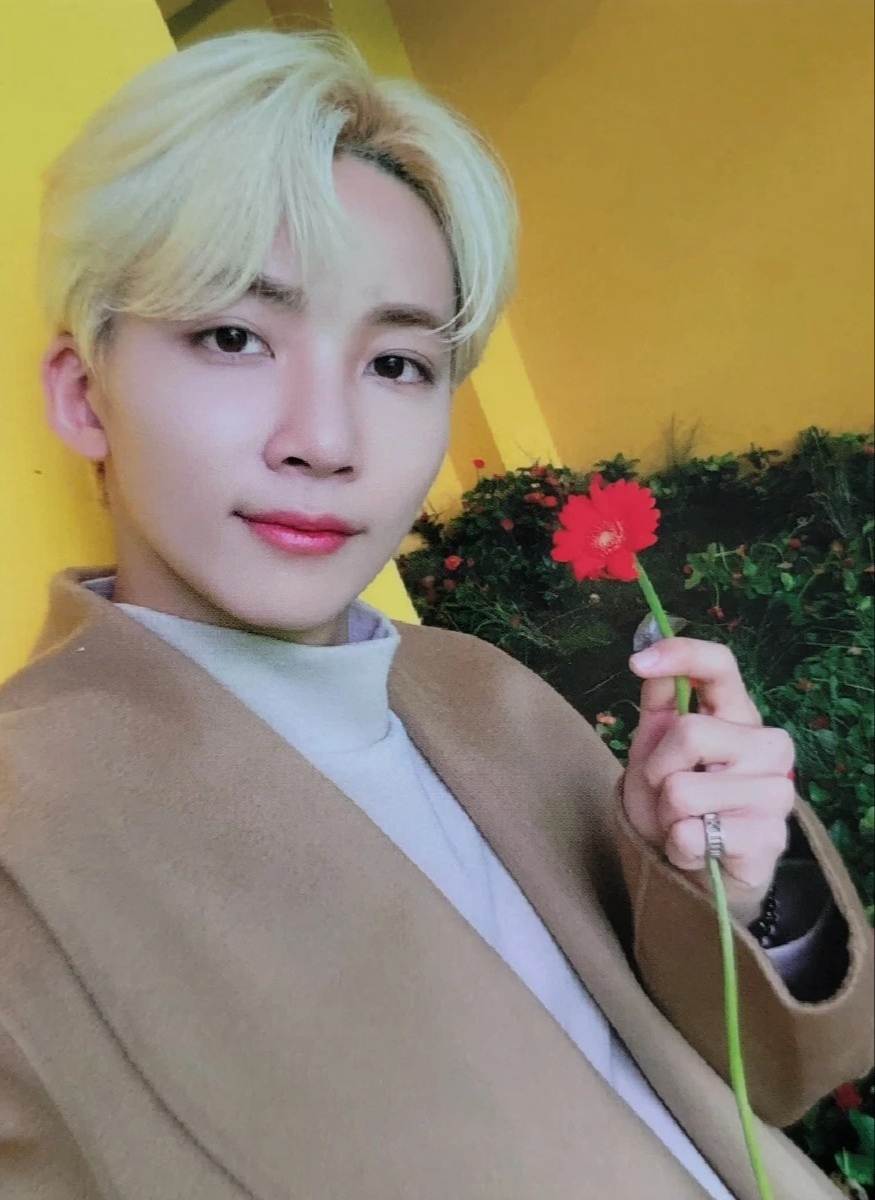 Jeonghan SEVENTEEN photocard from Christmas Card