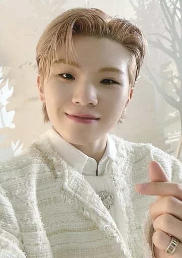 Woozi SEVENTEEN photocard - あいのちから (Power of Love) Trading Cards