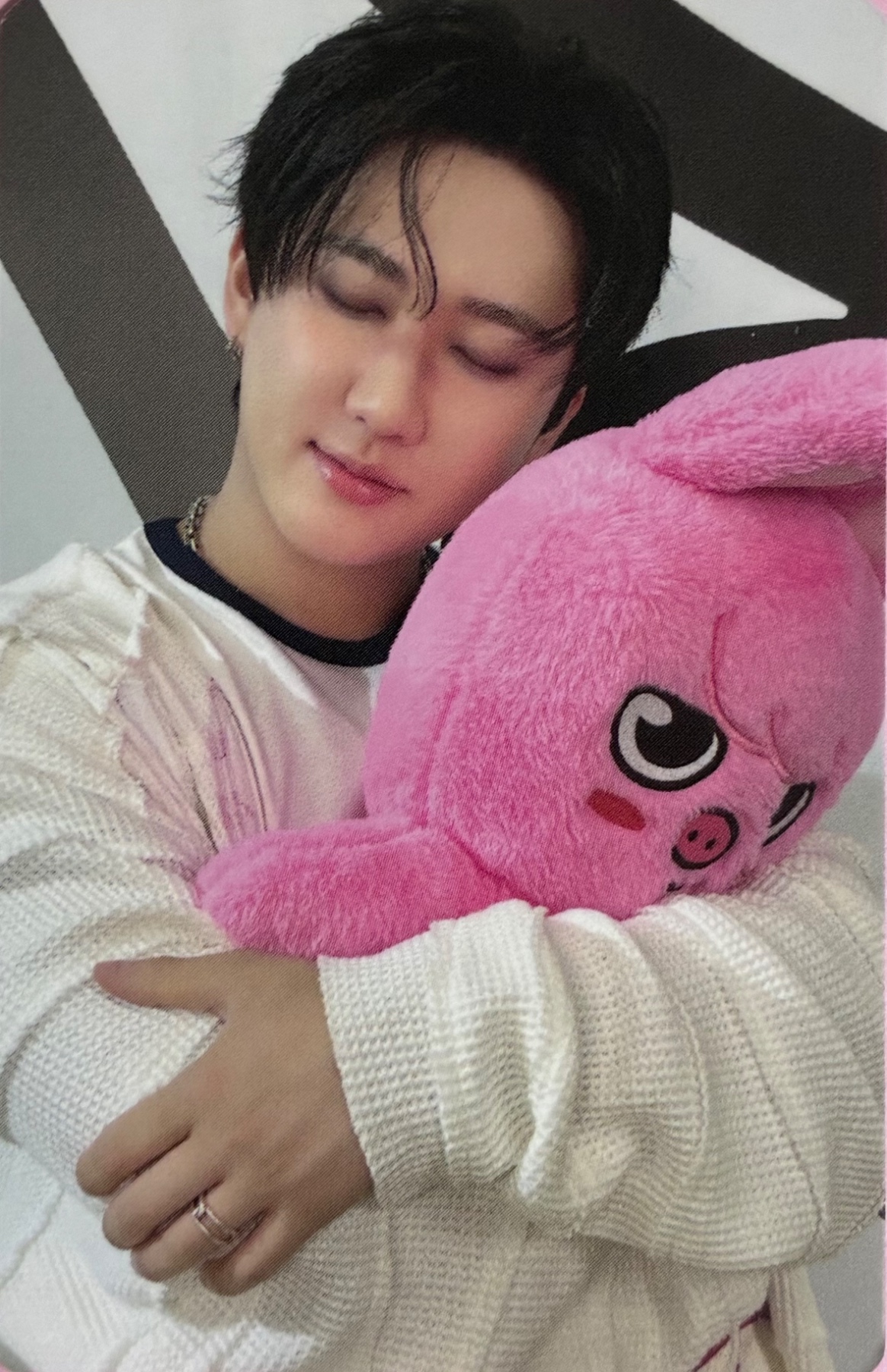 World Tour 'dominATE celebrATE' SKZOO Tincase