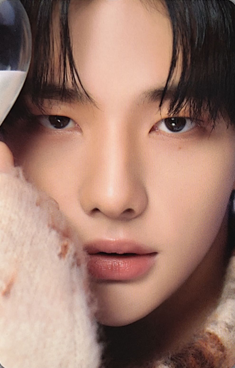 Dicon D'Festa Photocard