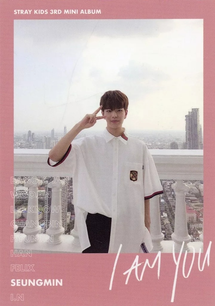 Seungmin Stray Kids photocard from QR Photocard A ver.