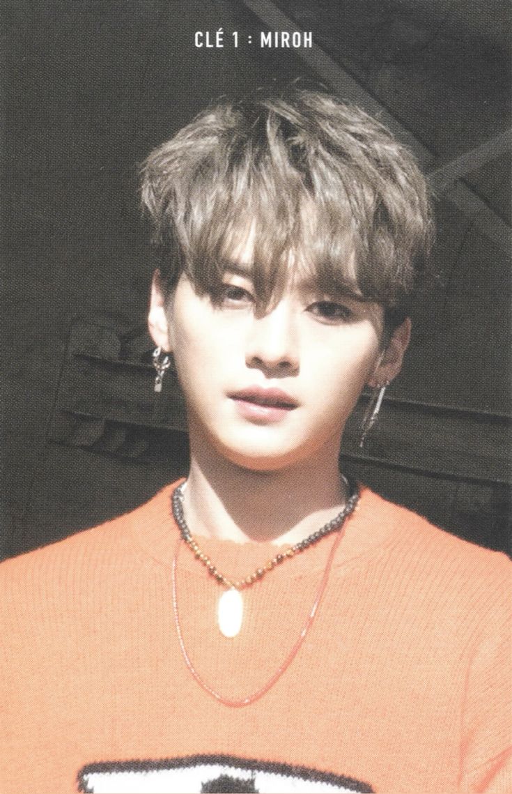 Lee Know Stray Kids photocard from Random Photocard