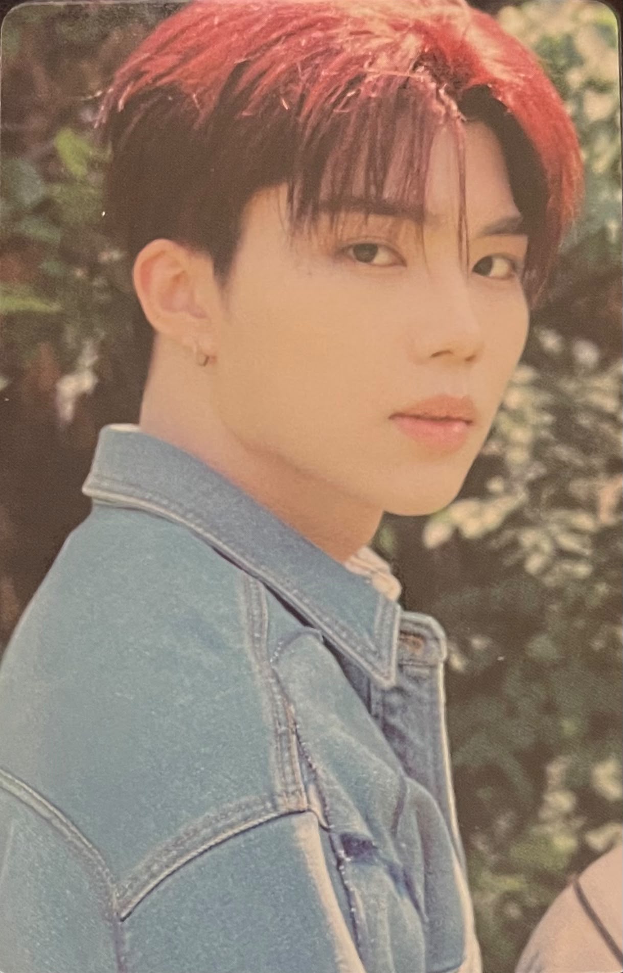 Photocard Set