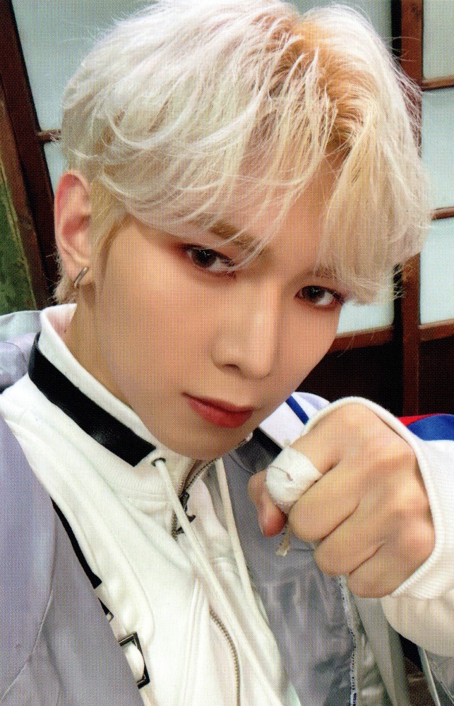 Official MD Pop-Up Limited Photocard Set