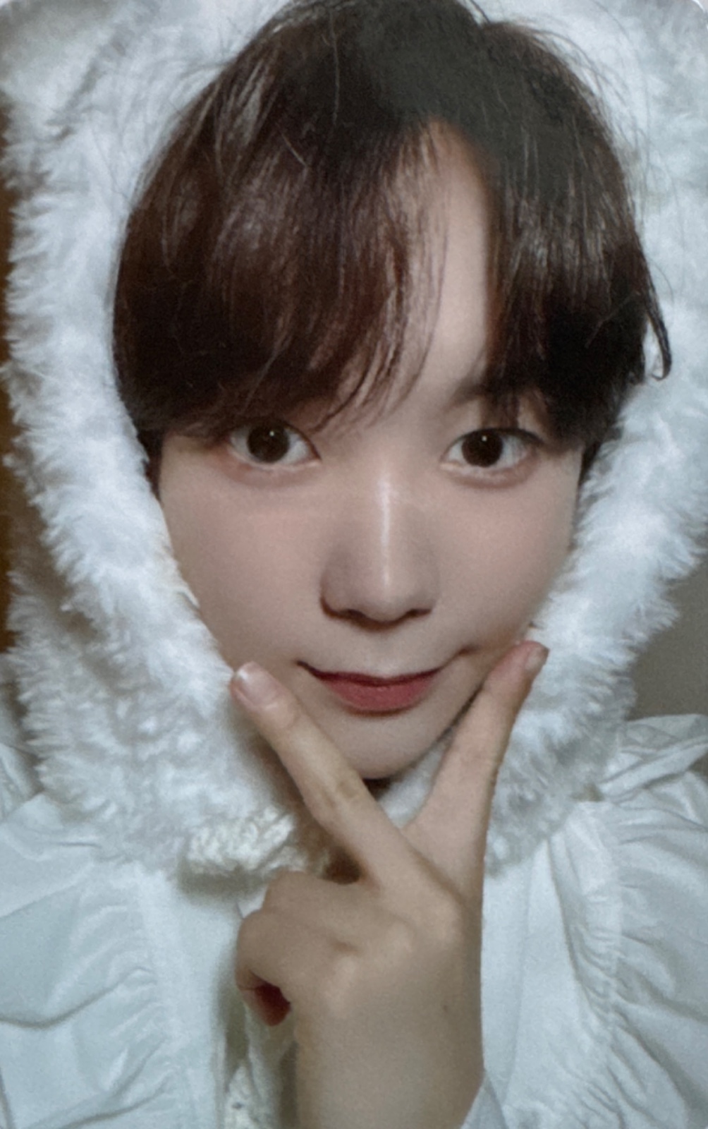 WISH BOOK Vol.1 Japan FC Photocards