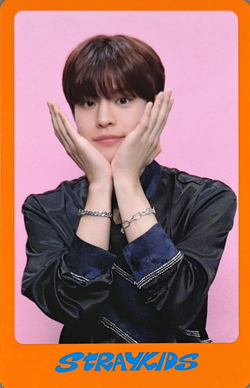 Seungmin Stray Kids photocard from Photocard