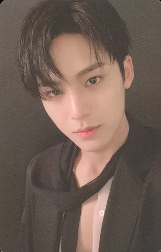 Mingyu SEVENTEEN photocard from Photocard