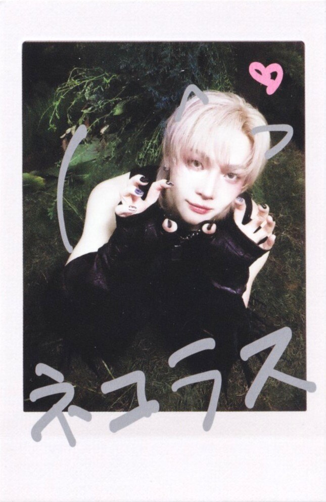 Instant Photocard Set