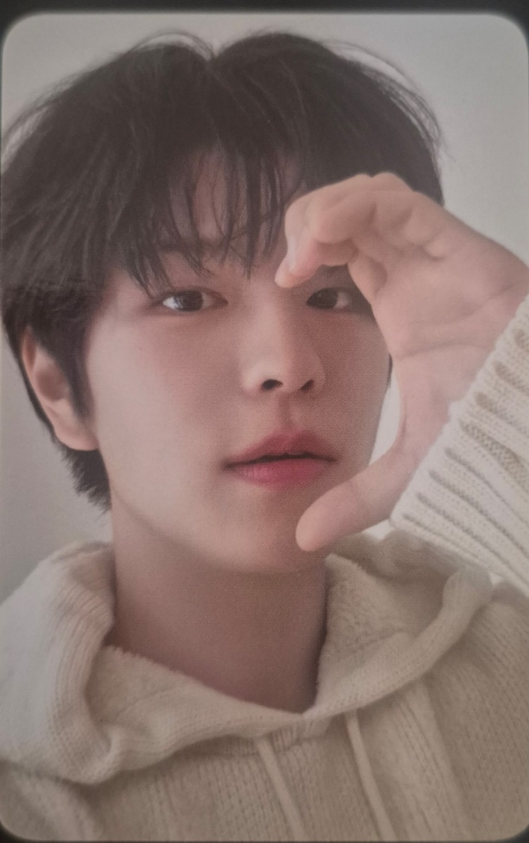 2024 Season's Greetings - Perfect Day with SKZ Selfie Photocard Set
