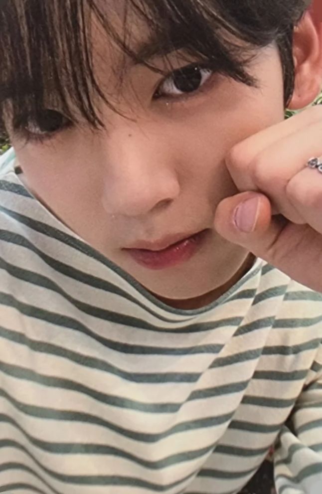 Everline 1.0 Artbook Ver. LD