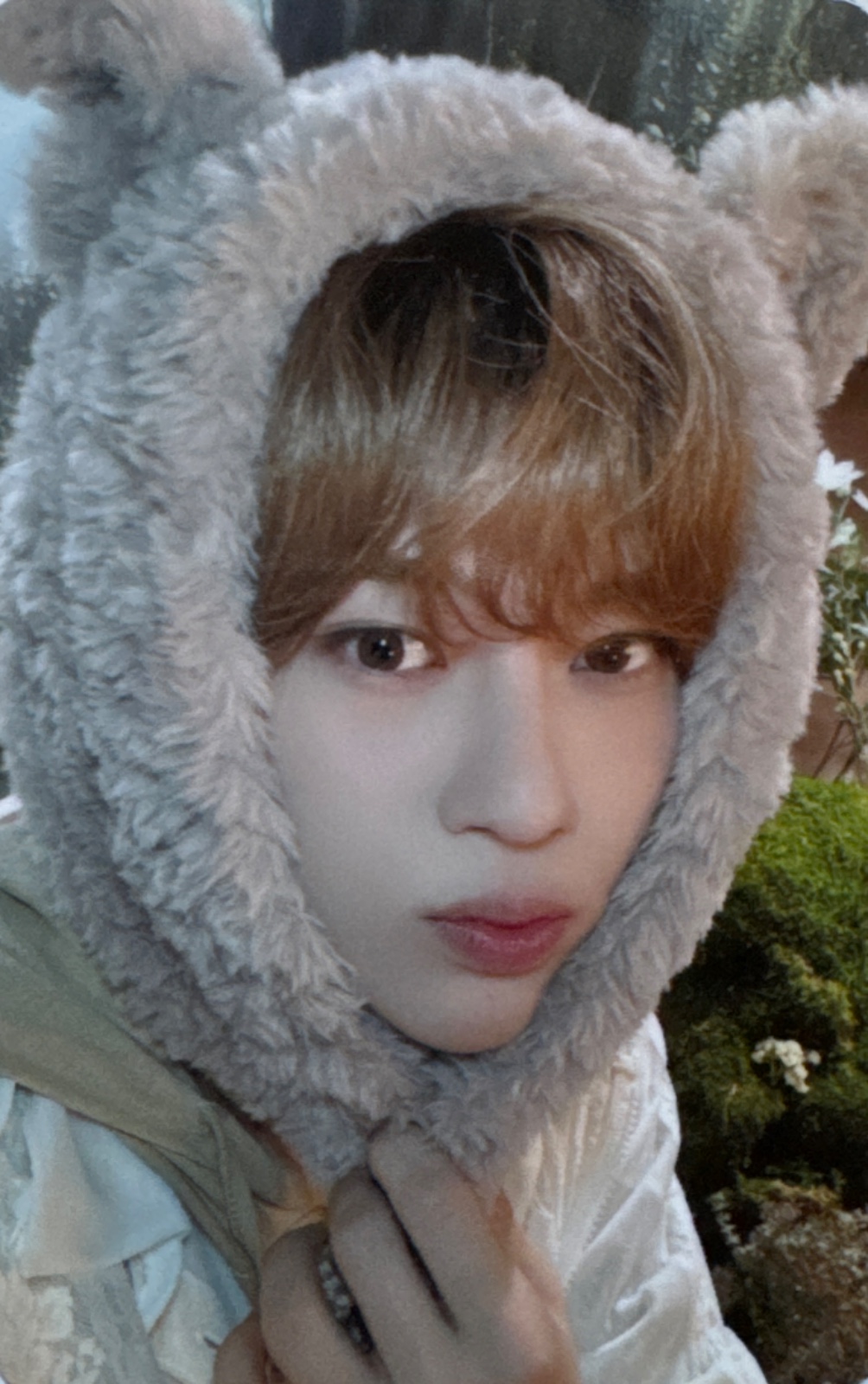 WISH BOOK Vol.1 Japan FC Photocards