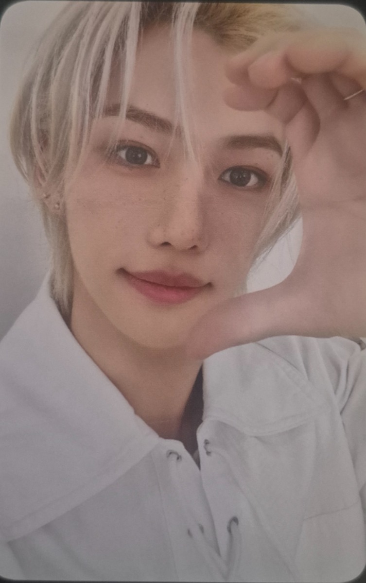2024 Season's Greetings - Perfect Day with SKZ Selfie Photocard Set