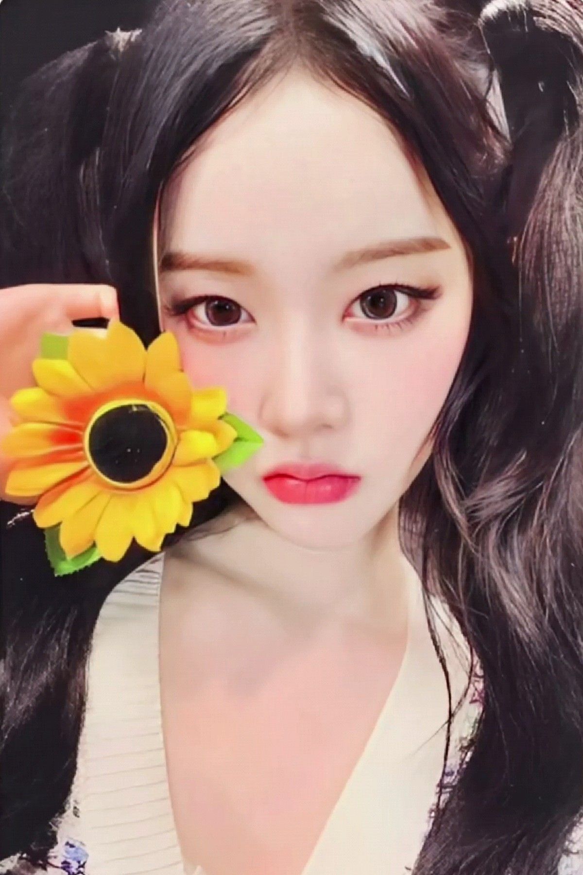 Applemusic 1.0 Pre-Order