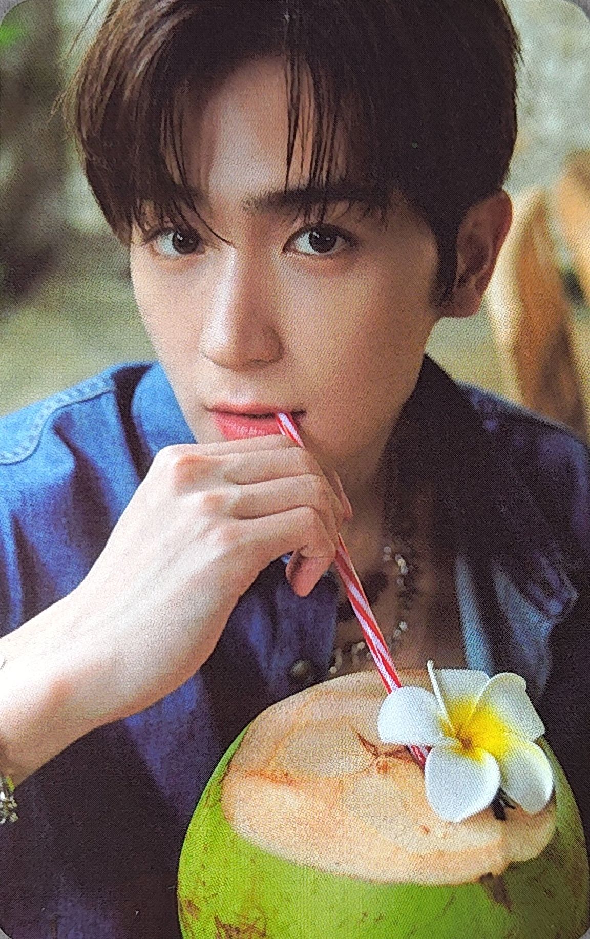 Official Photocard