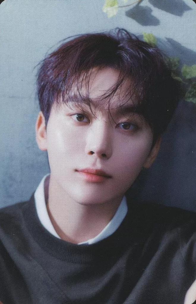Seungkwan SEVENTEEN photocard from Photocard B