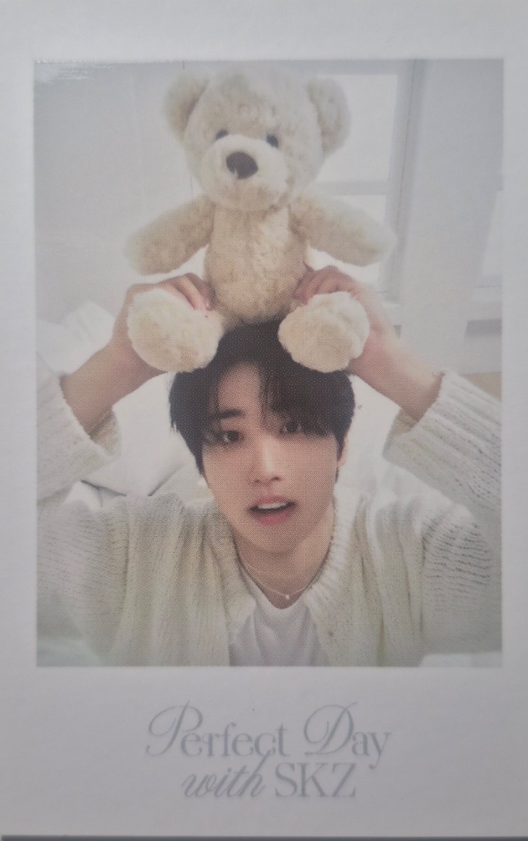 2024 Season's Greetings - Perfect Day with SKZ Polaroid Photocard Set