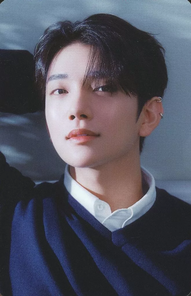 Joshua SEVENTEEN photocard from Photocard B