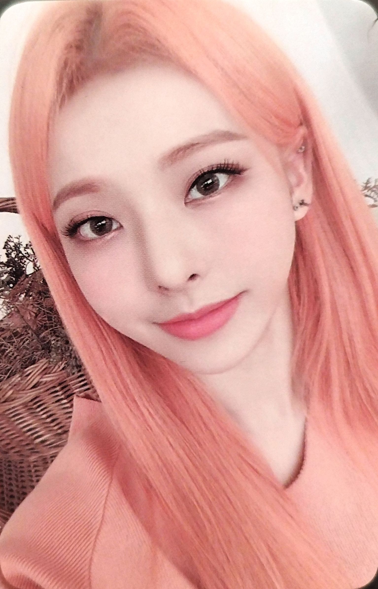 2021 Season's Greetings Photocard Set