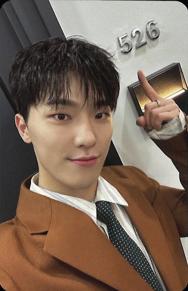 Dino SEVENTEEN photocard from Photocard