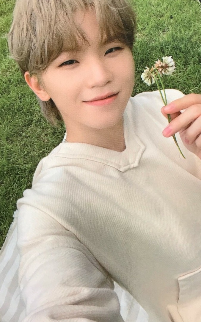 Photocards