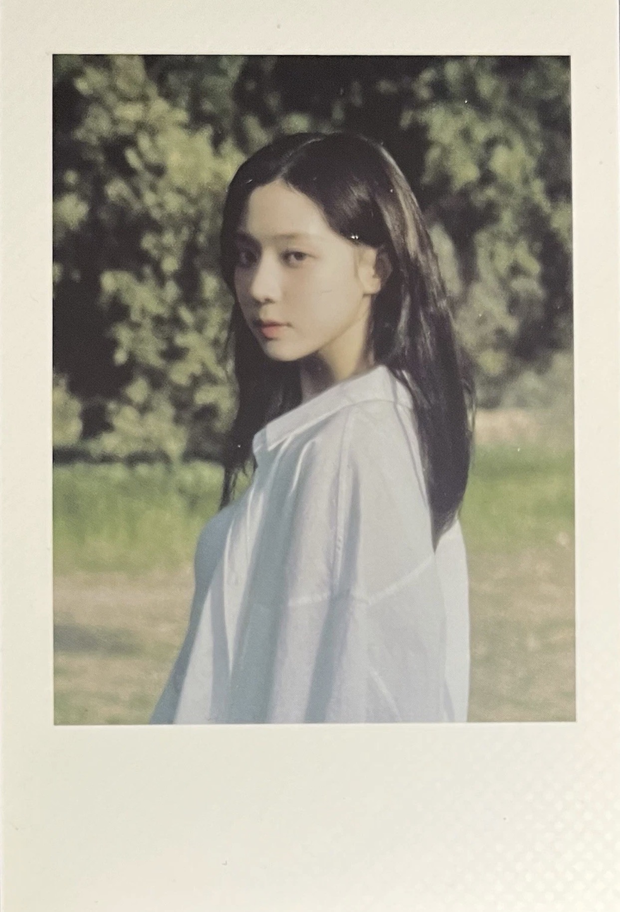 Polaroid