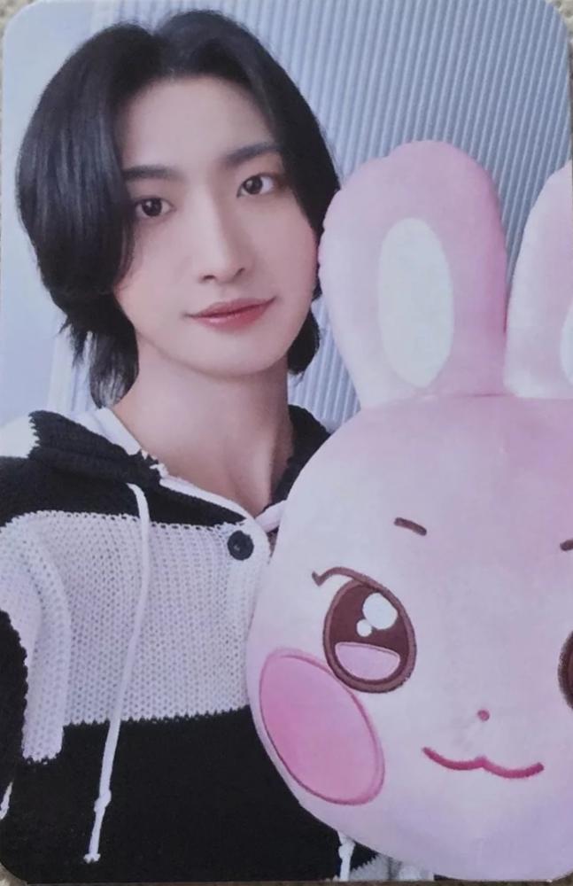 ANITEEZ in ICE CITY Plush Cushion