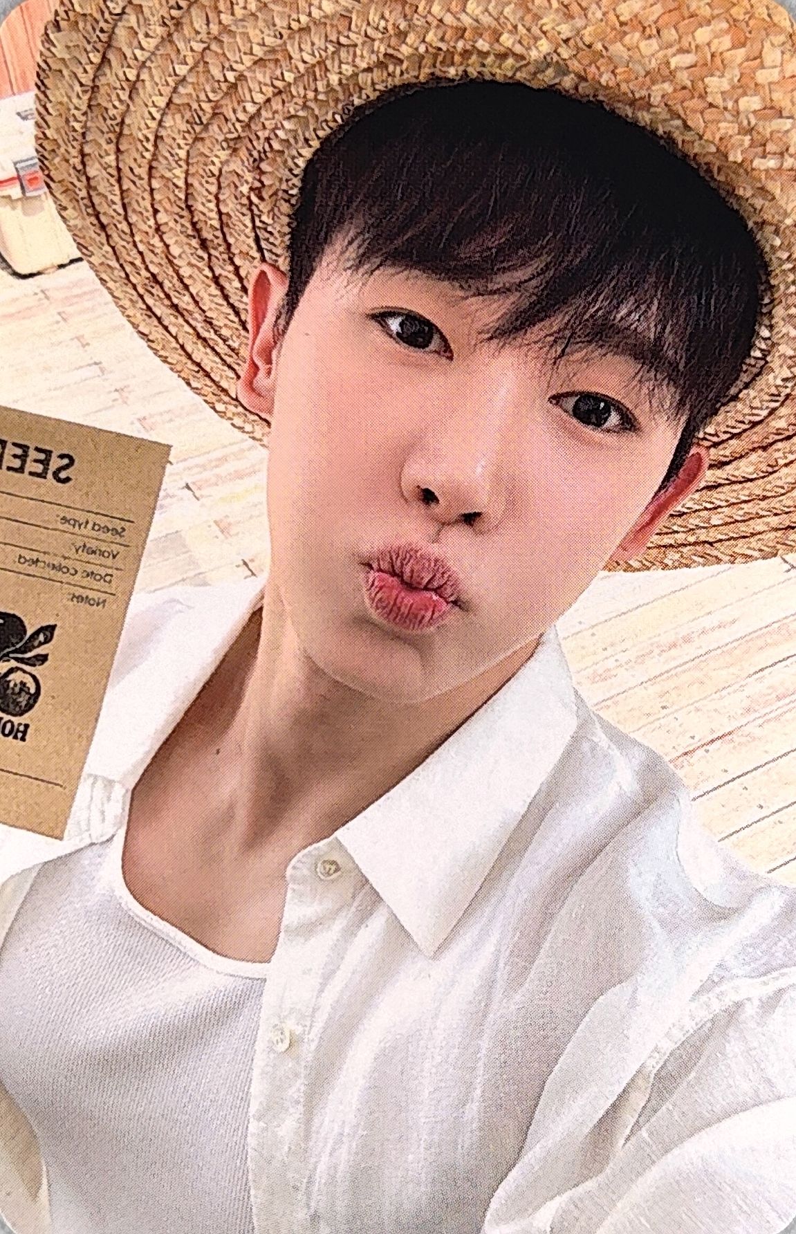 2026 Season’s Greetings ‘HOHO MARKET’ Calendar Photocard Set