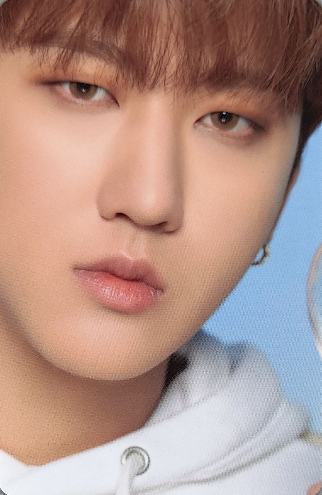Dicon D'Festa Photocard