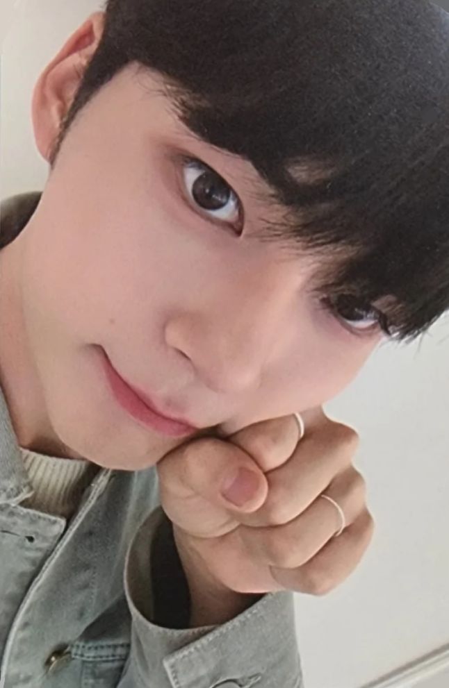 Everline 1.0 Artbook Ver. LD