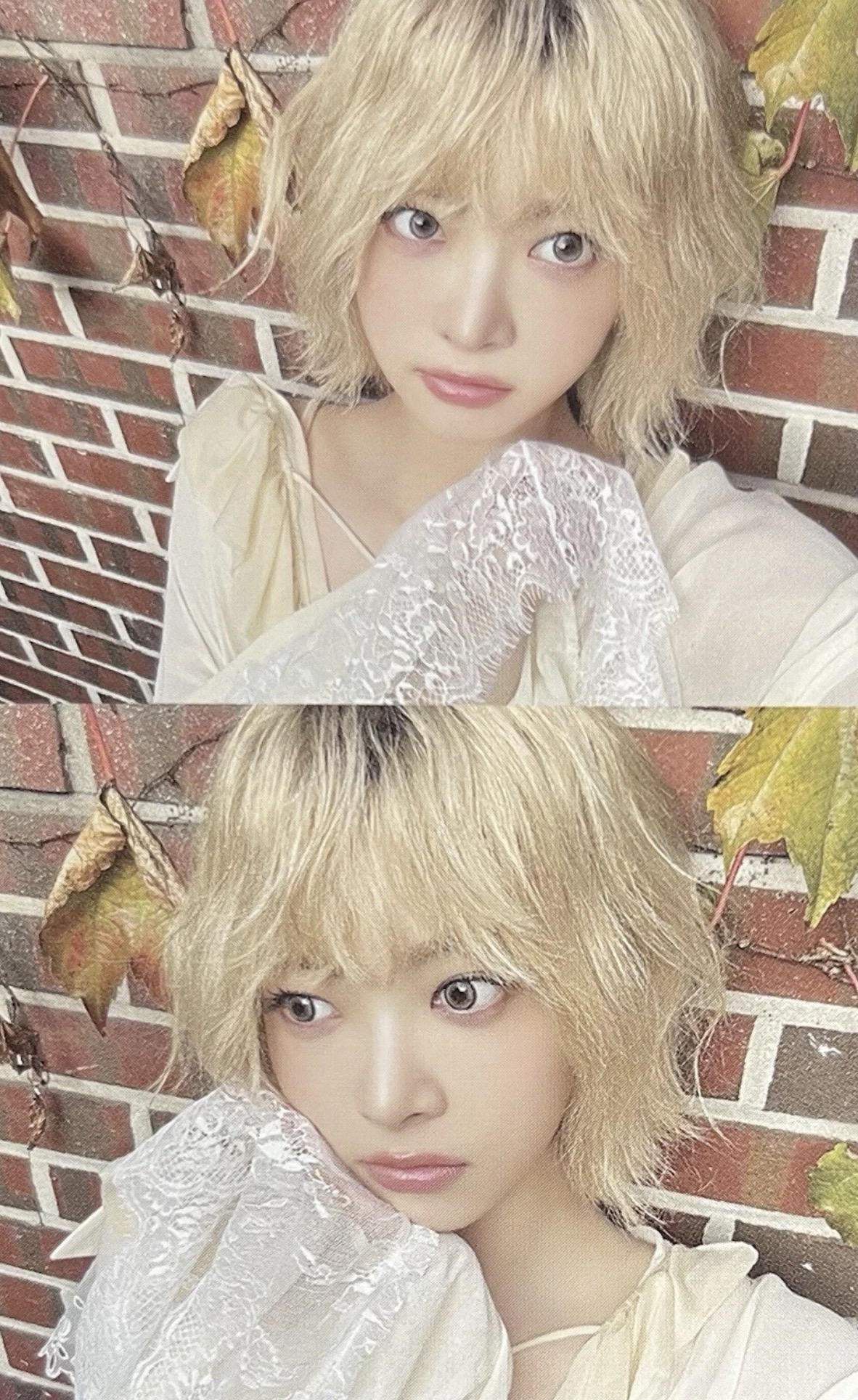 Photocard