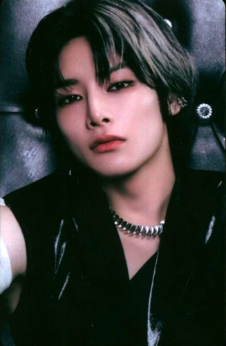 I.N Stray Kids photocard - GIANT Preorder