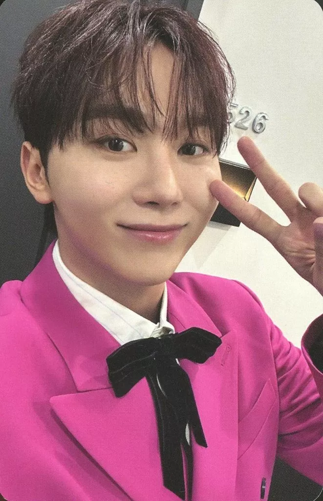 Seungkwan SEVENTEEN photocard - SPILL THE FEELS Photocard