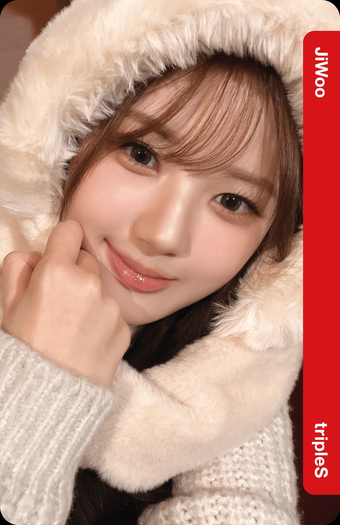 Lotte Home Shopping Collab Double Class Objekt - Selfie Version