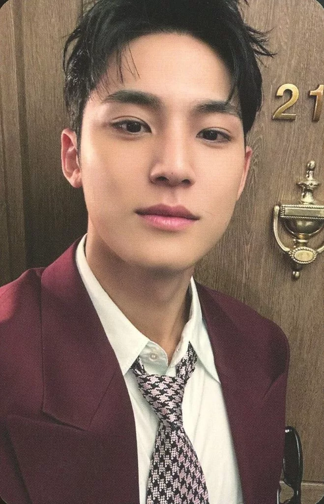 Mingyu SEVENTEEN photocard - SPILL THE FEELS Photocard