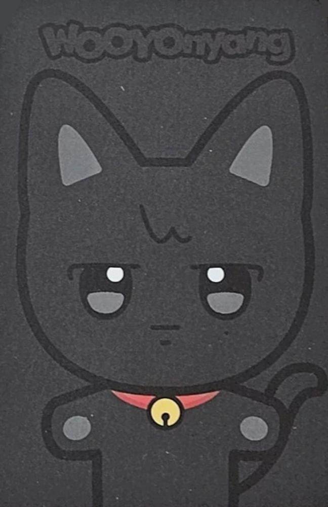 ANITEEZ in ILLUSION Random Trading Card