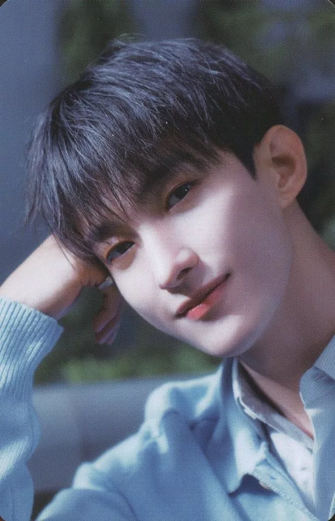 DK SEVENTEEN photocard from Photocard B