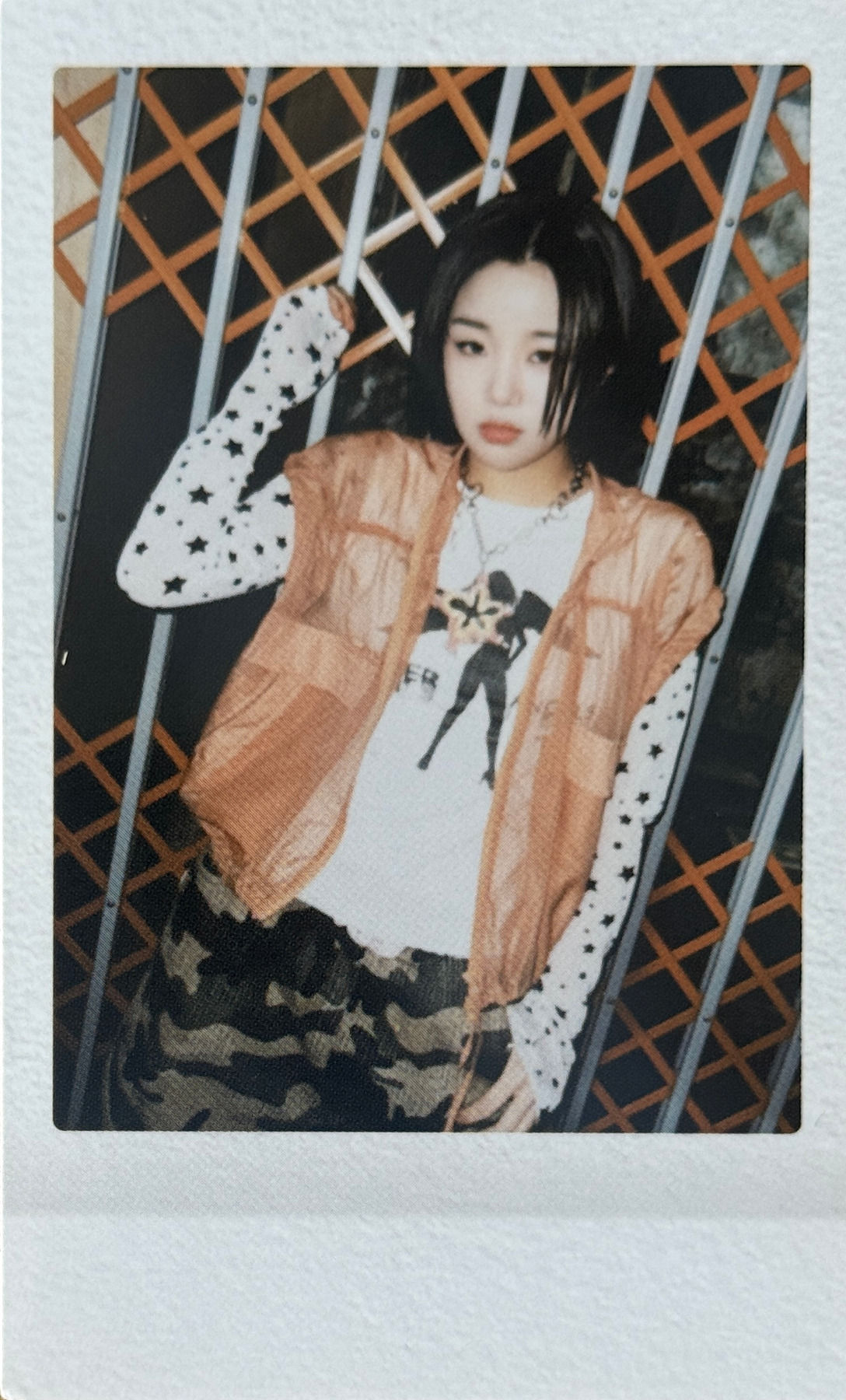 Polaroid