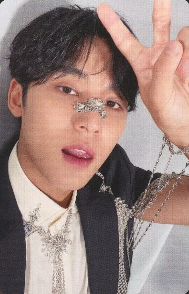 Mingyu SEVENTEEN photocard - 消費期限 Selfie Photocard