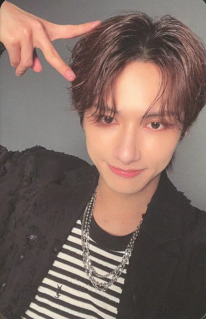 Jun SEVENTEEN photocard - SPILL THE FEELS Photocard