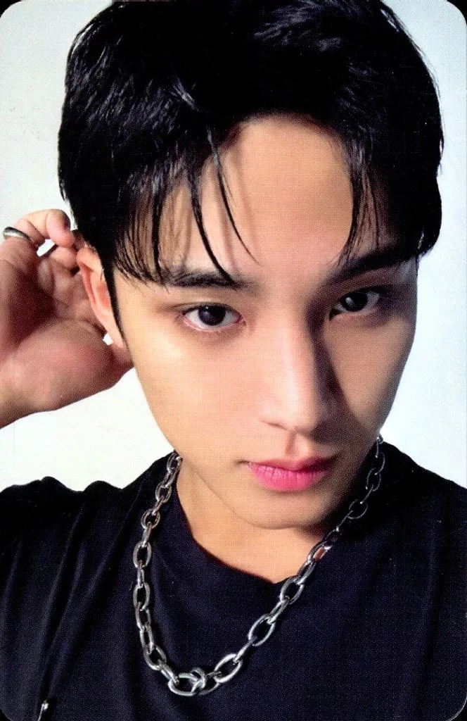 Mingyu SEVENTEEN photocard - SPILL THE FEELS Photocard