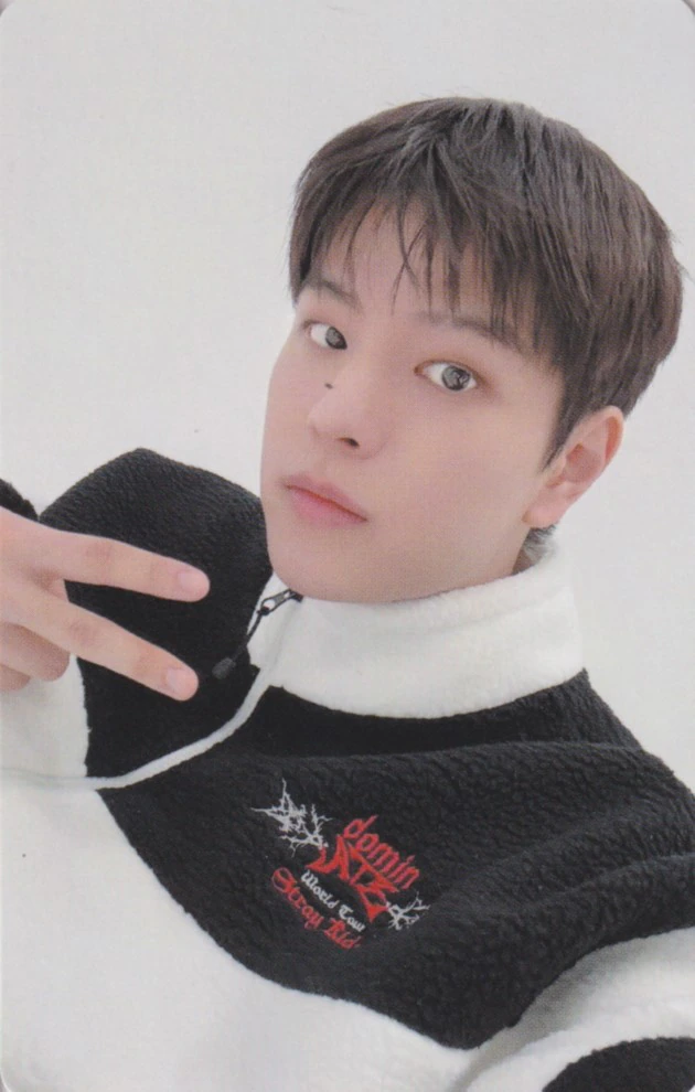 Seungmin Stray Kids photocard from 11/14 - Tokyo Dome