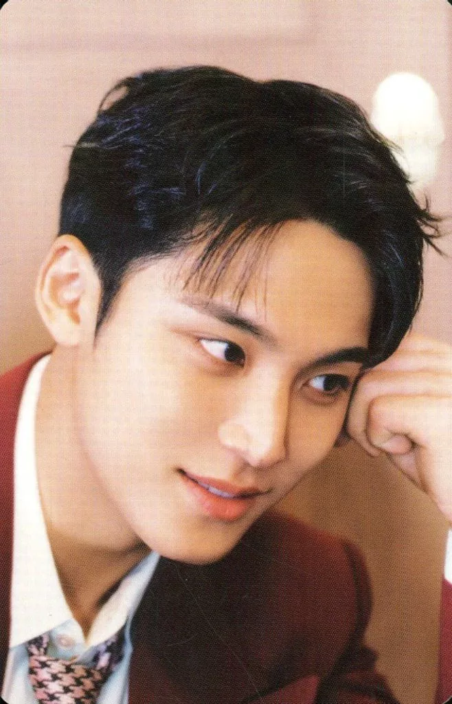 Mingyu SEVENTEEN photocard from Booklet (Random Member set)